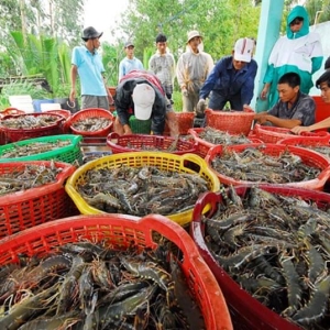 long-an-quy-hoach-vung-nuoi-thuy-san